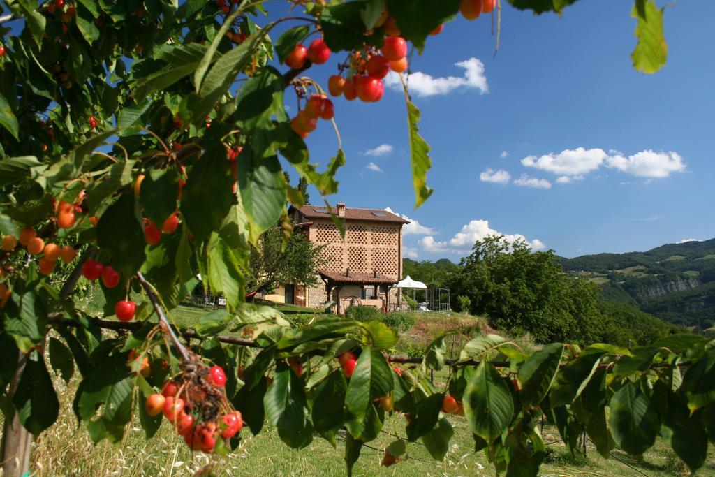 B&B Al Merlo Angelico Pellegrino Parmense Exterior photo